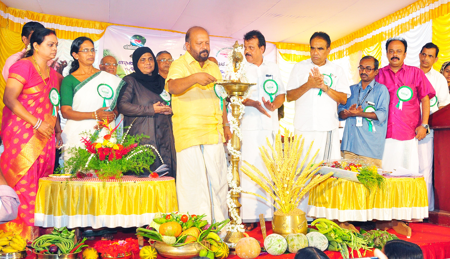 ಅಡಿಕೆ ಬೆಳೆಗಾರರಿಗೆ ವಿಶೇಷ ಪ್ಯಾಕೇಜ್ ಜಾರಿಗೆ ಯತ್ನ: ಕೃಷಿ ಸಚಿವ ವಿ.ಎಸ್. ಸುನೀಲ್ ಕುಮಾರ್